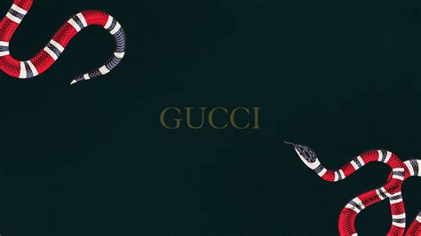 gucci green background|cool backgrounds gucci.